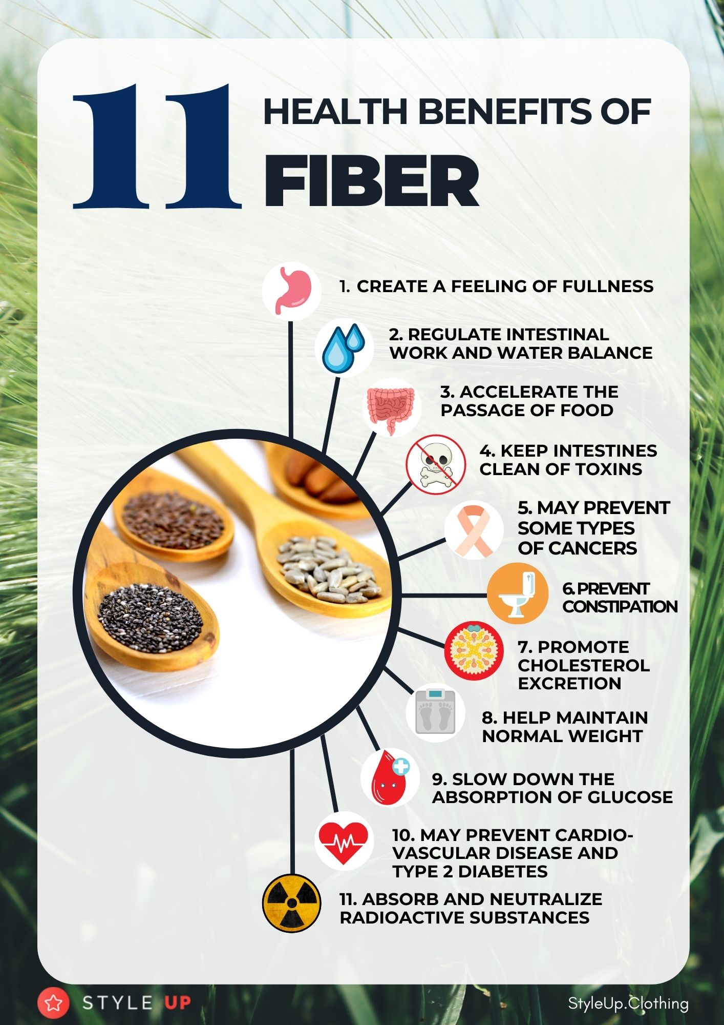 3. STYLEUP_11_Health_Benefits_Of_Fiber_Health_Benefits_Of_High_Fiber_Diet.jpg